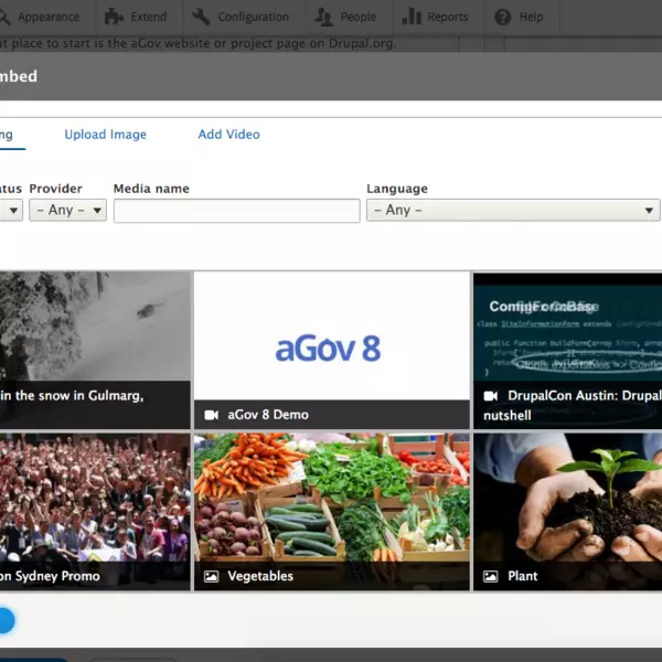 Drupal media
