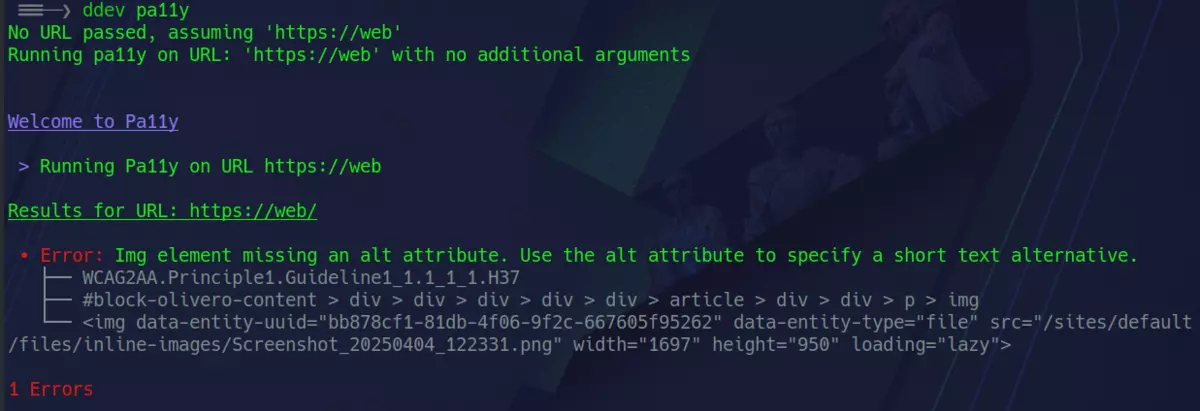 A pa11y output reporting an error in an image because no alt text is present
