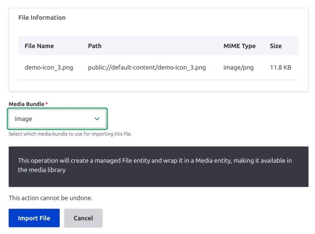 File Inspector form to operate on a file: delete or promote to Media