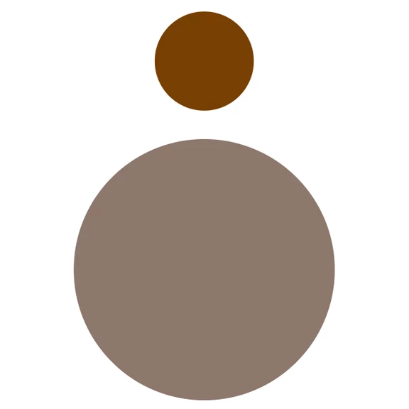 Drupal Specialist