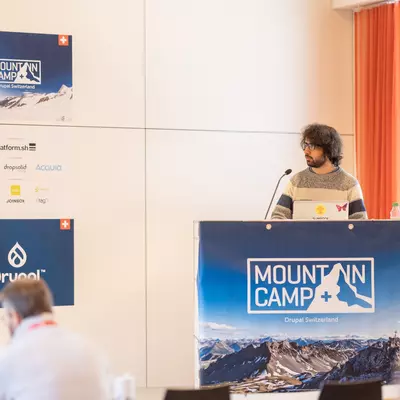 Drupal mountain 2024 - Strategies for Successful Bug Hunting in Drupal Projects